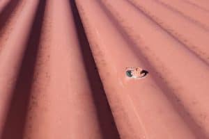 Rusted roof screws