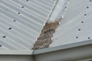 Debris blocking up the bottom of a roof valley