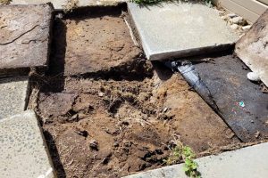 Signs of a broken soakwell