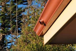 Gutter overflow spout